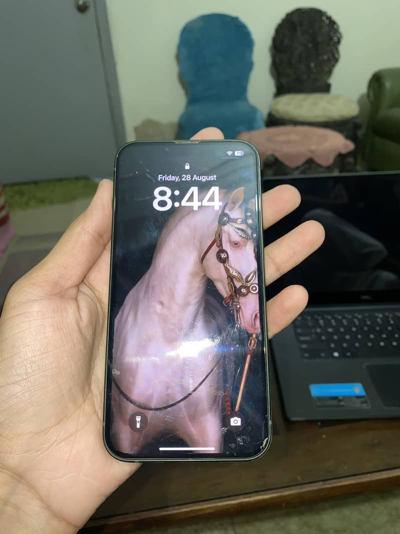 Apple iPhone 13 0