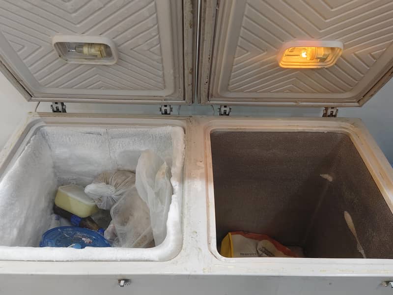Waves Double Door Deep Freezer 2