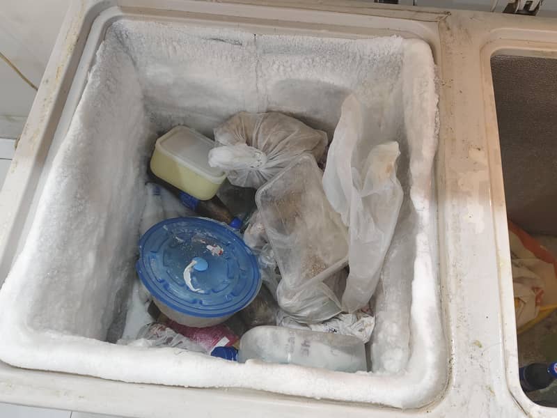 Waves Double Door Deep Freezer 3