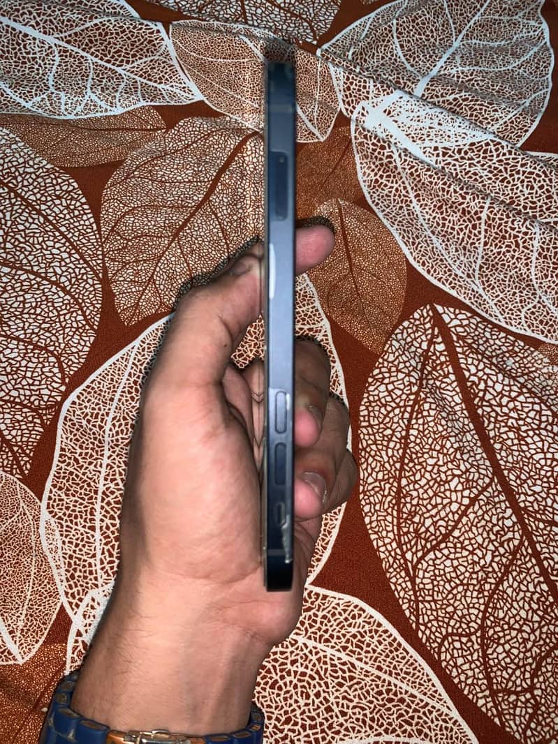 Apple iPhone 12 0