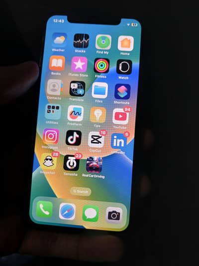 Apple iPhone X