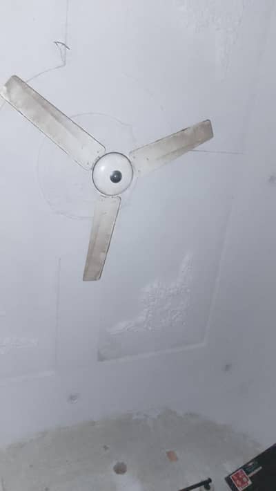 fan for sale