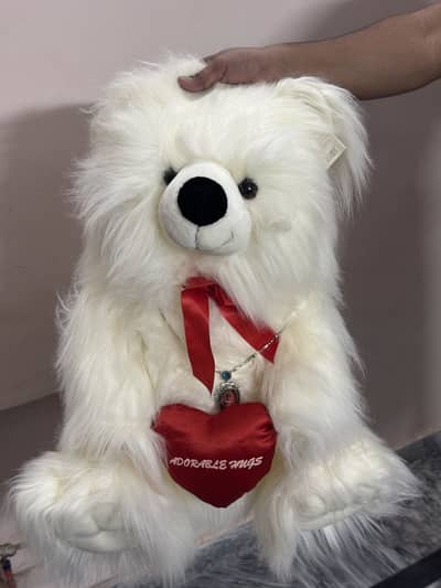 Brand New Bear
