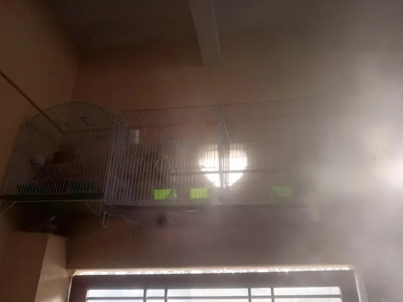 Cage pinjra used 2 portion 1 portion khana — photo 3