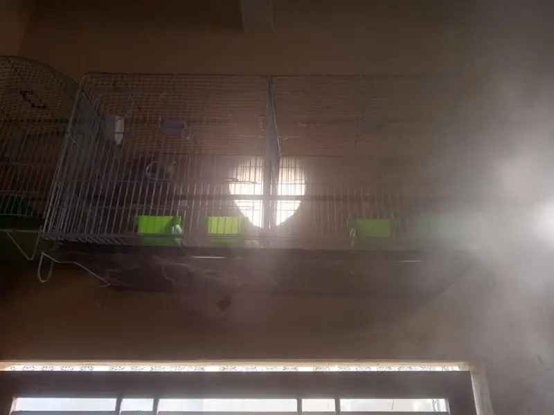 Cage pinjra used 2 portion 1 portion khana — photo 4