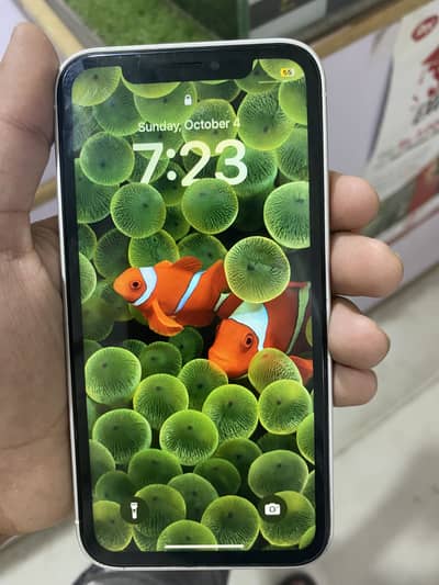 Apple iPhone XR