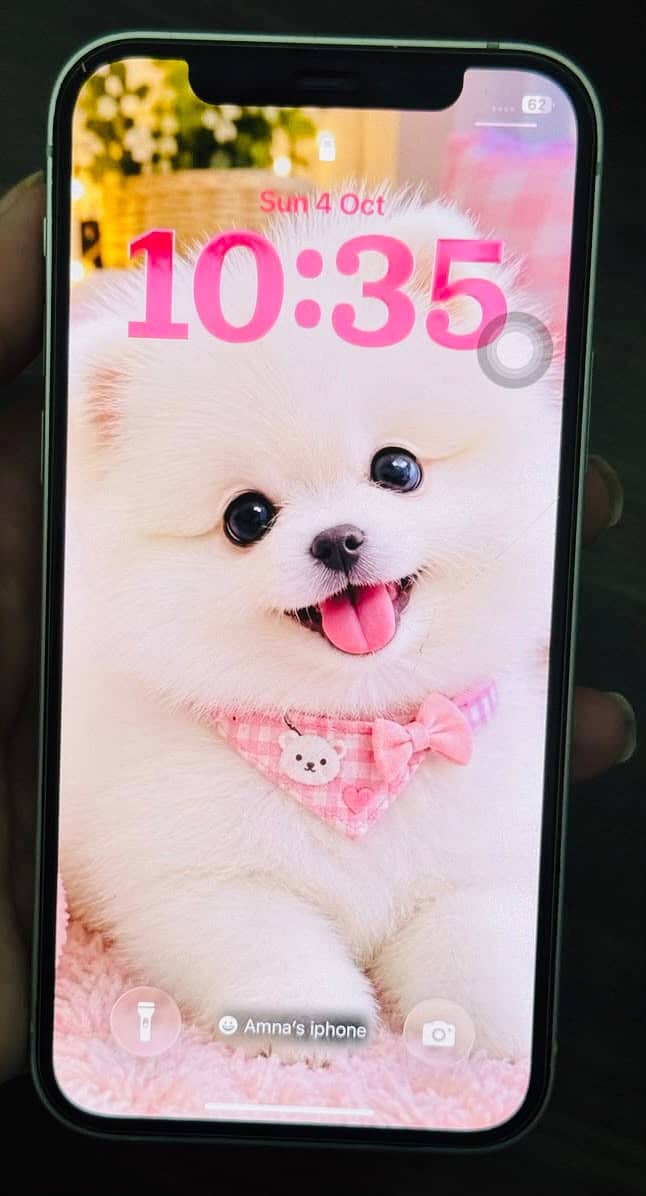 Apple iPhone 12 4