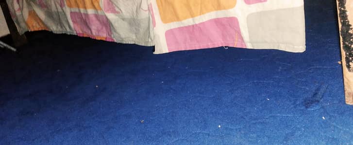 carpet for sale