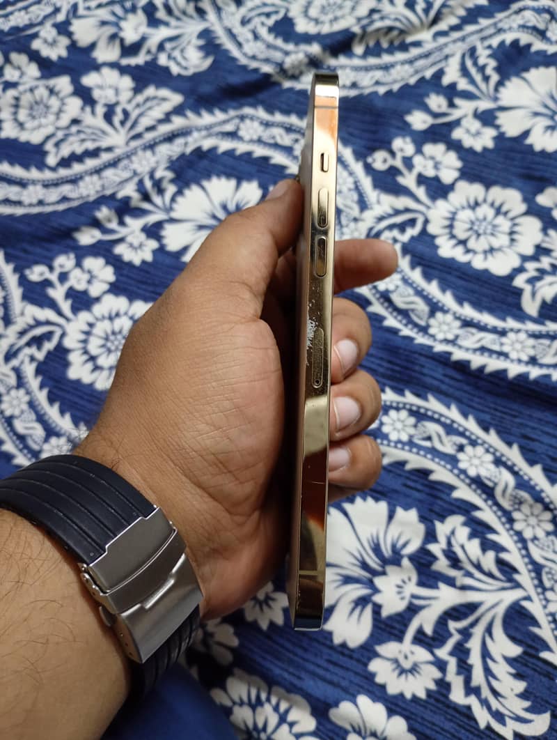 Apple iPhone 12 Pro Max 1