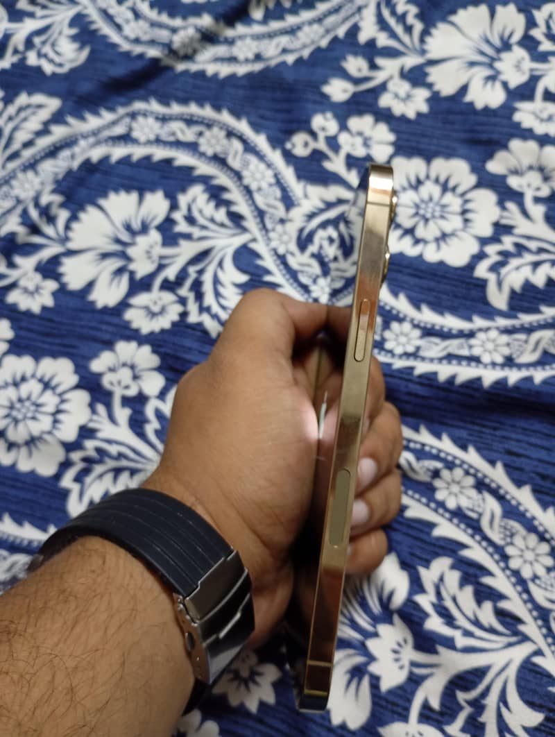 Apple iPhone 12 Pro Max 2