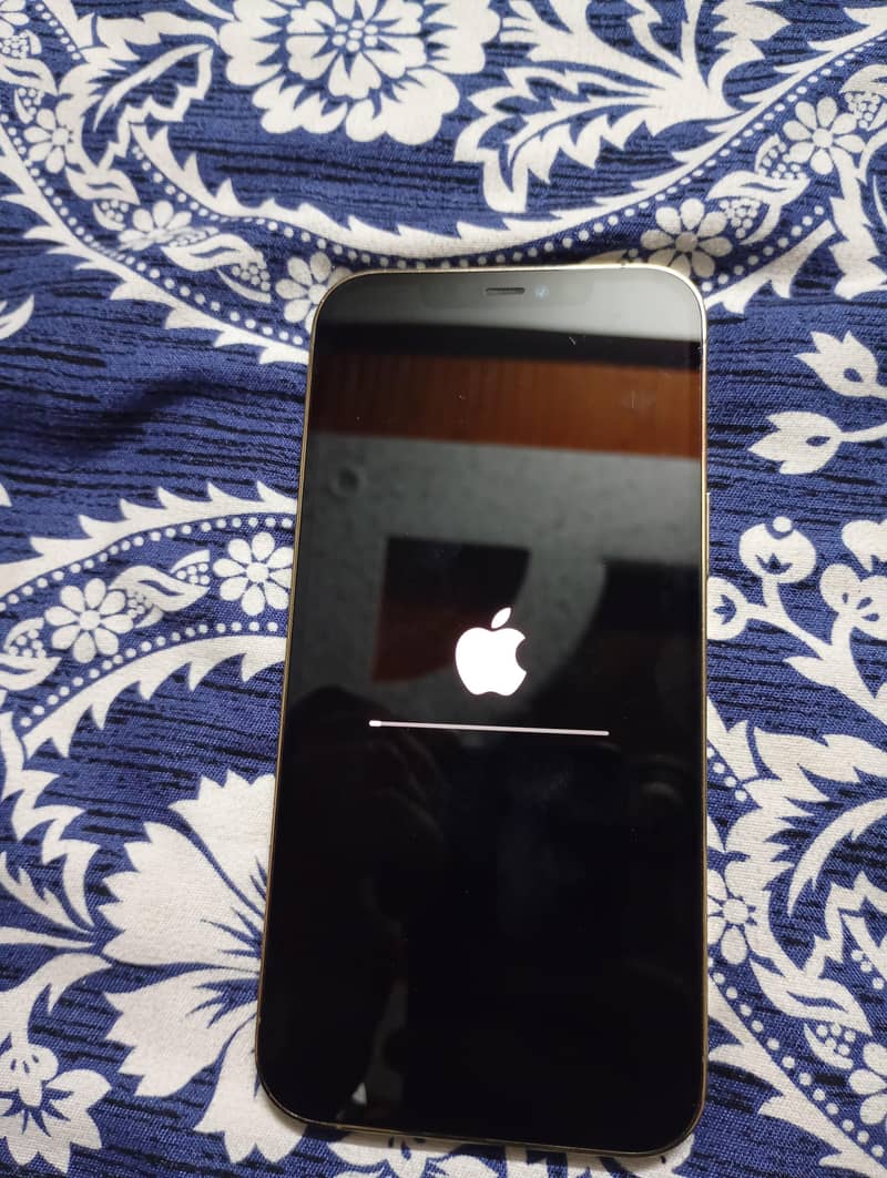 Apple iPhone 12 Pro Max 5