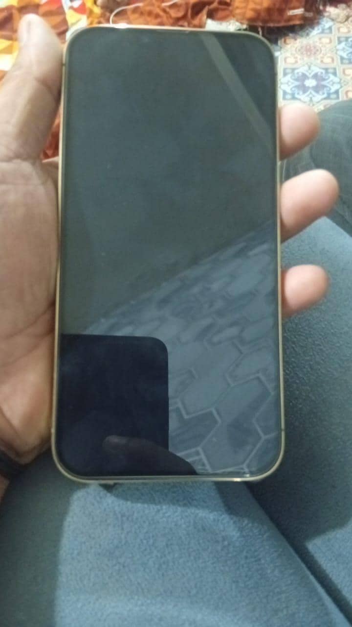 Apple iPhone 13 Pro Max 3