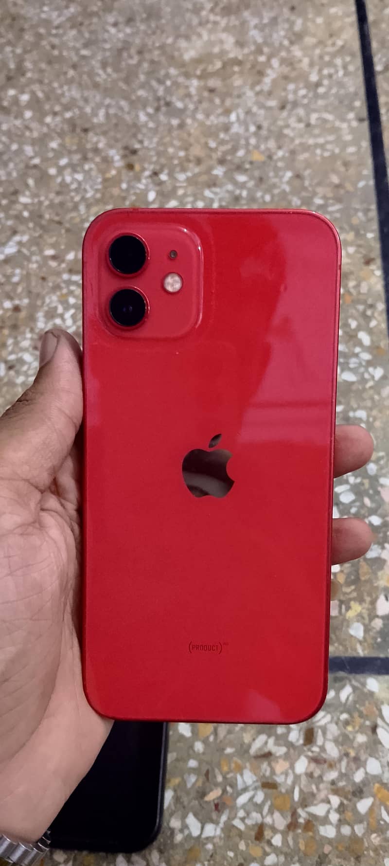Apple iPhone 12 1