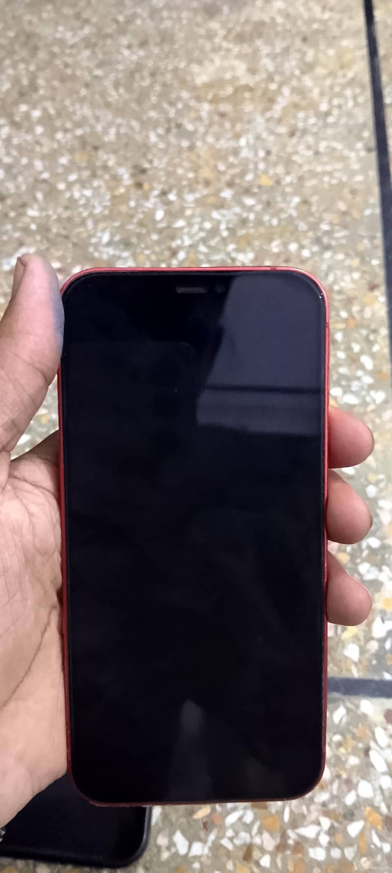 Apple iPhone 12 2