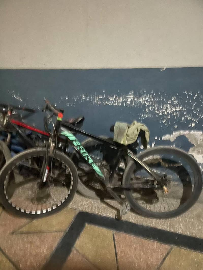 mountain cycle 0