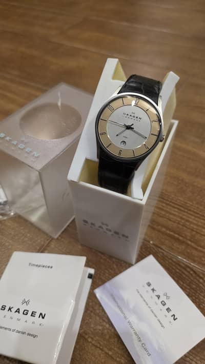 SKAGEN Quartz Watch