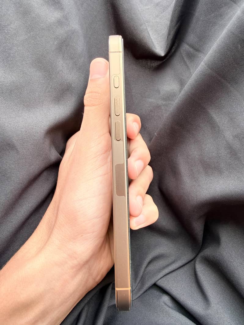 Apple iPhone 16 Pro Max 3