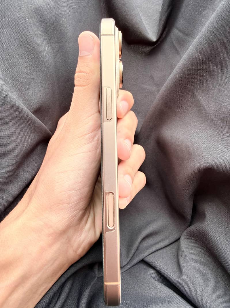 Apple iPhone 16 Pro Max 4