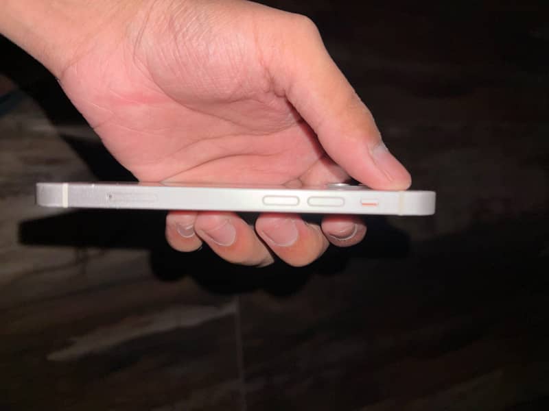 Apple iPhone 12 mini 1