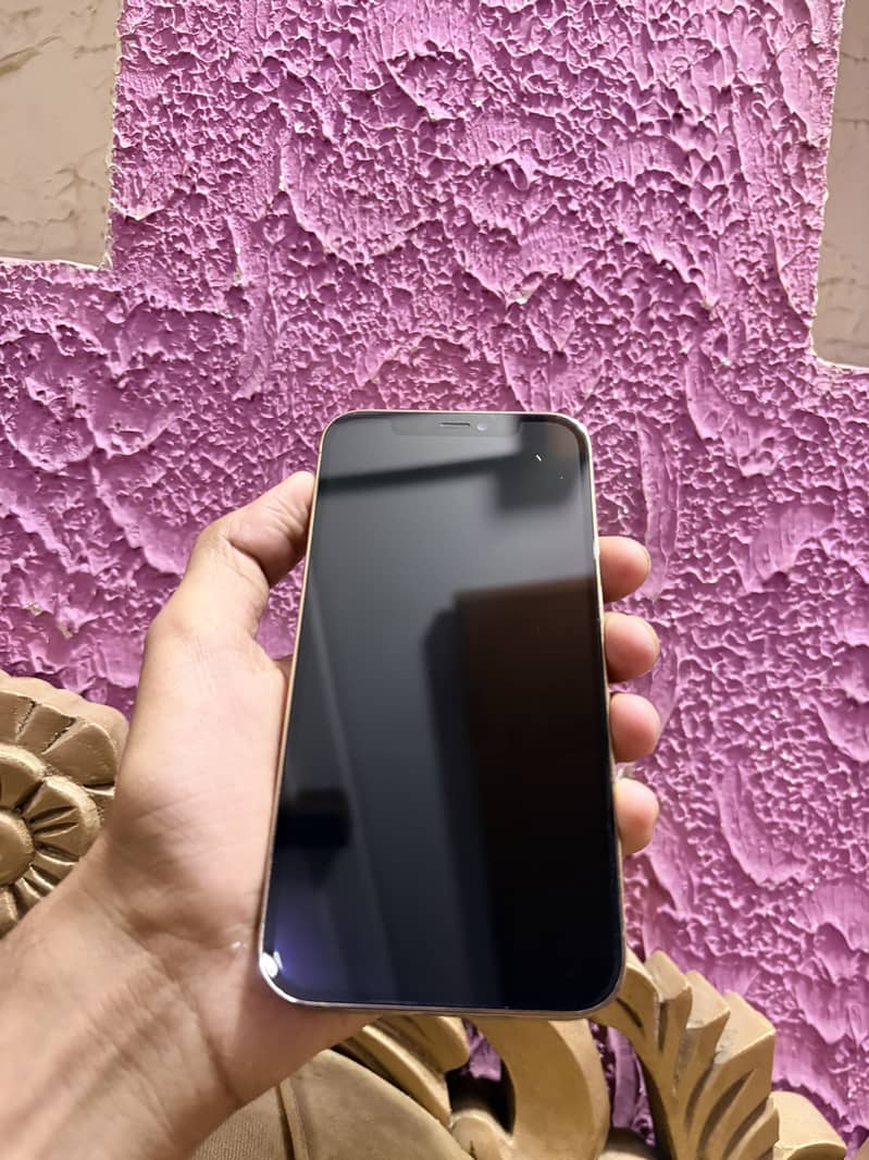 Apple iPhone 12 Pro 2
