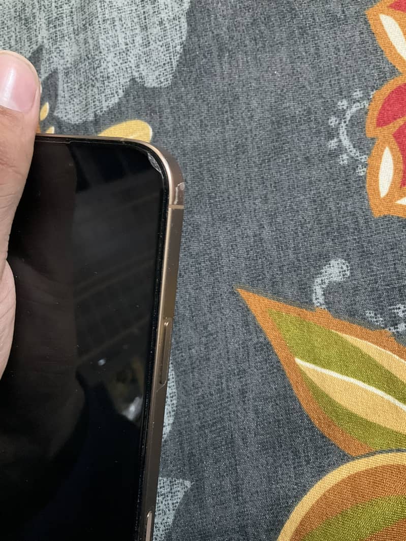 Apple iPhone 16 Pro Max 2
