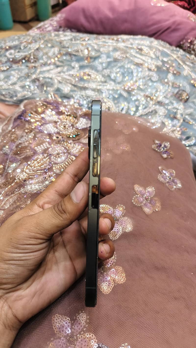 Apple iPhone 13 Pro Max 2