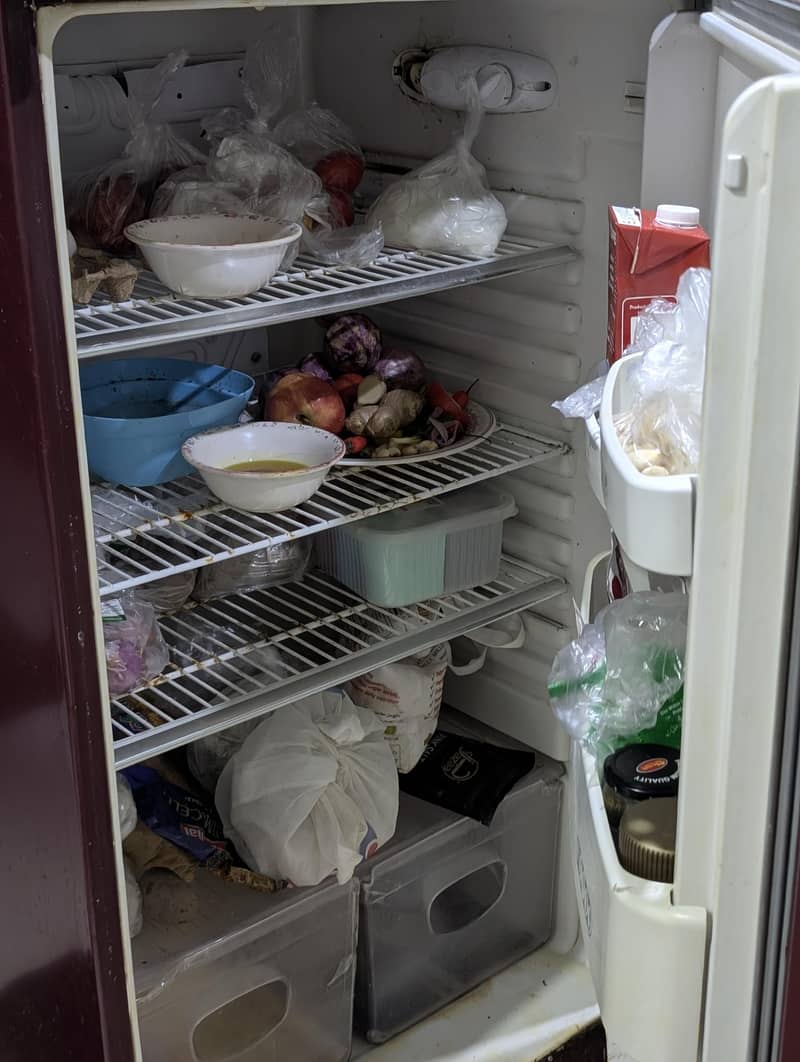 Orient full size fridge 3