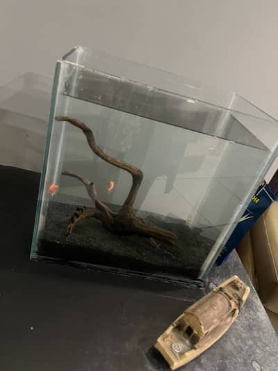 Aquarium with fish