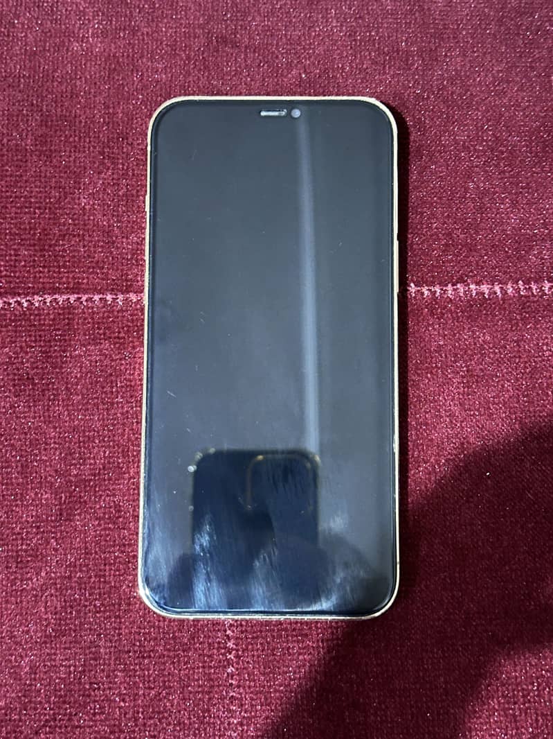 Apple iPhone 12 Pro Max 1