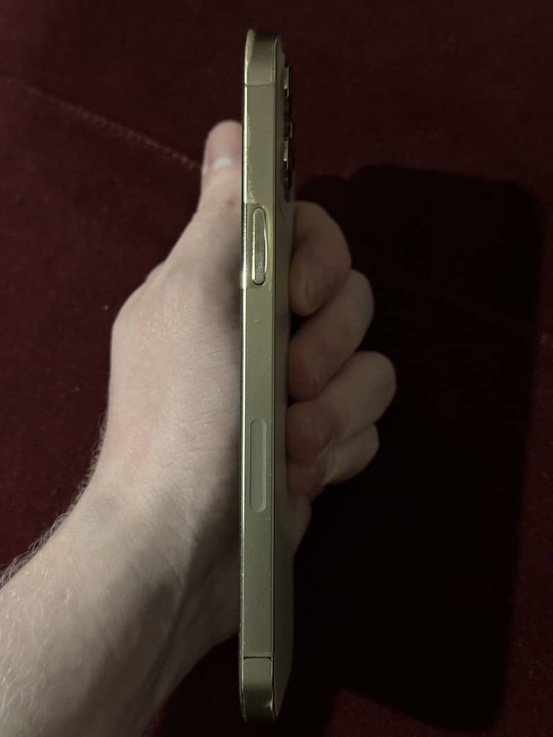 Apple iPhone 12 Pro Max 2