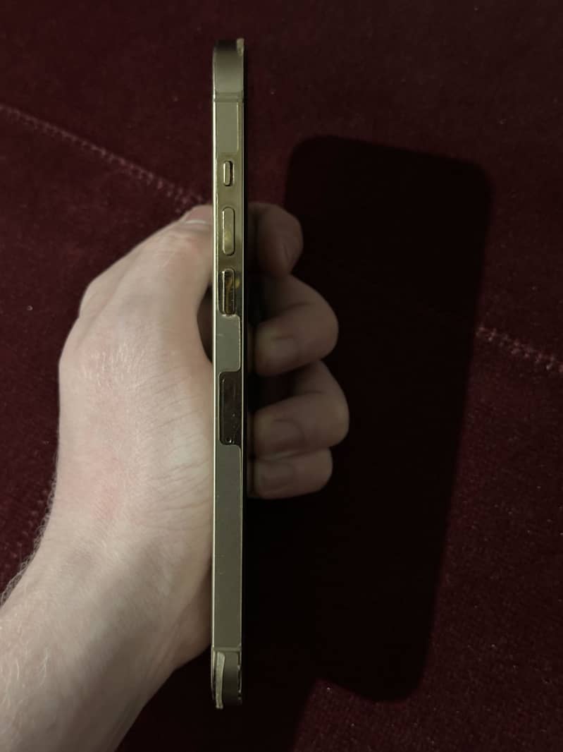 Apple iPhone 12 Pro Max 3