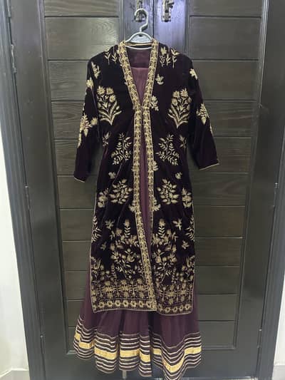 Net and velvet dress