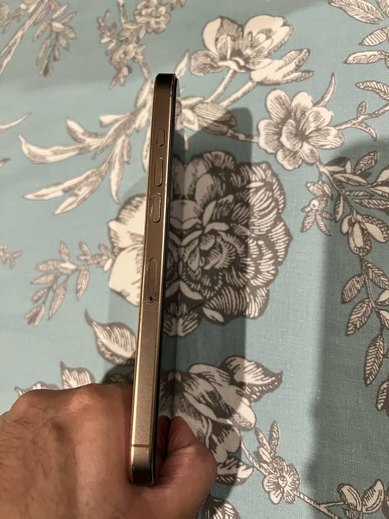 Apple iPhone 16 Pro Max 2