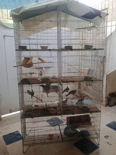 8 portion cage for sale
