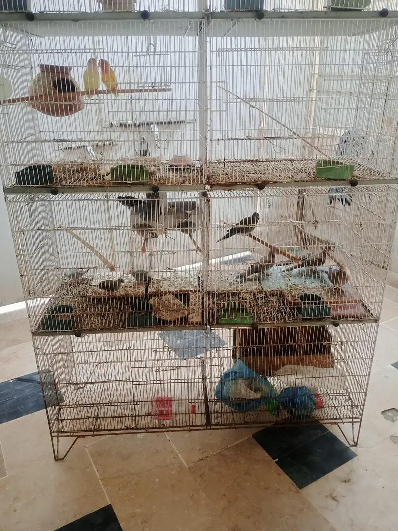 8 portion cage for sale — photo 2