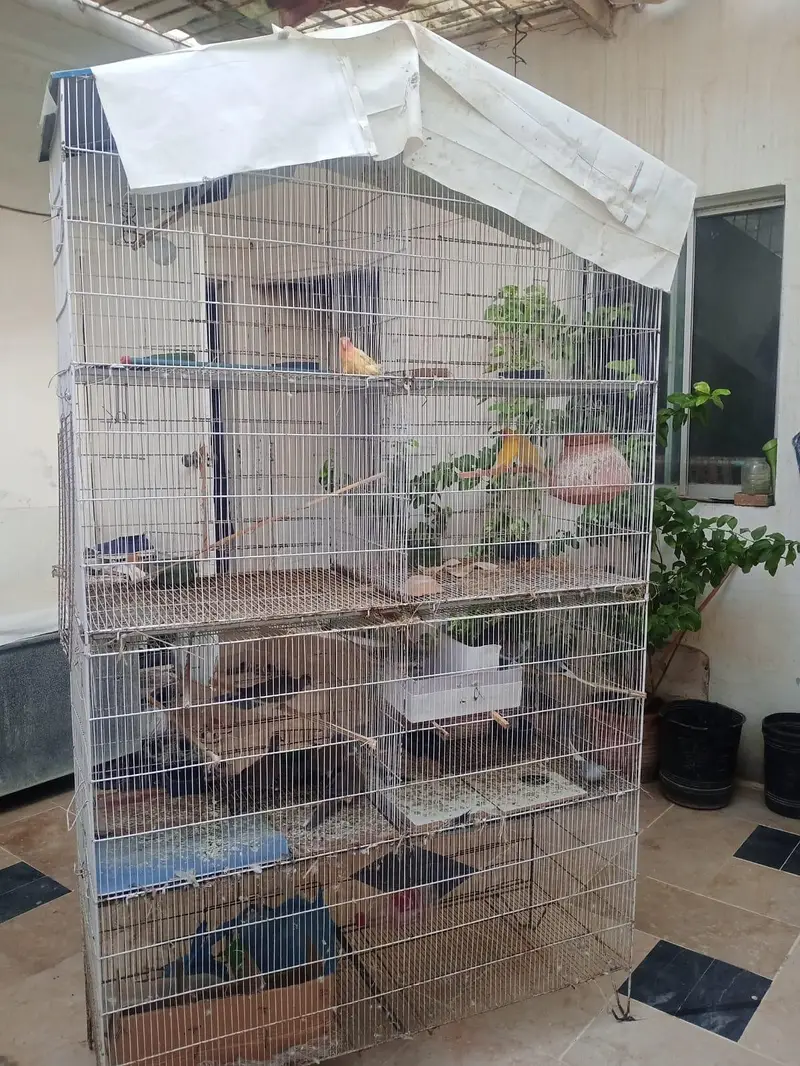 8 portion cage for sale — photo 4