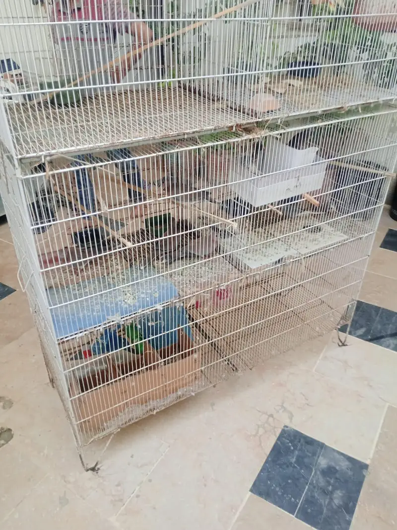8 portion cage for sale — photo 5