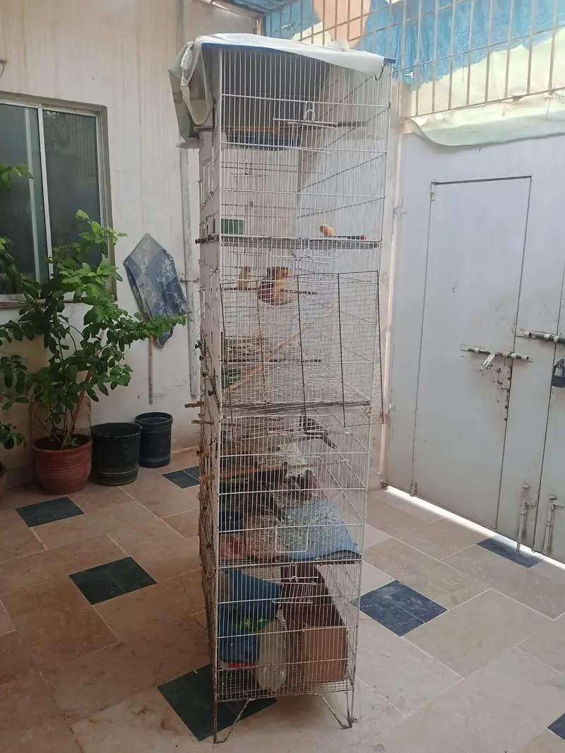 8 portion cage for sale — photo 6