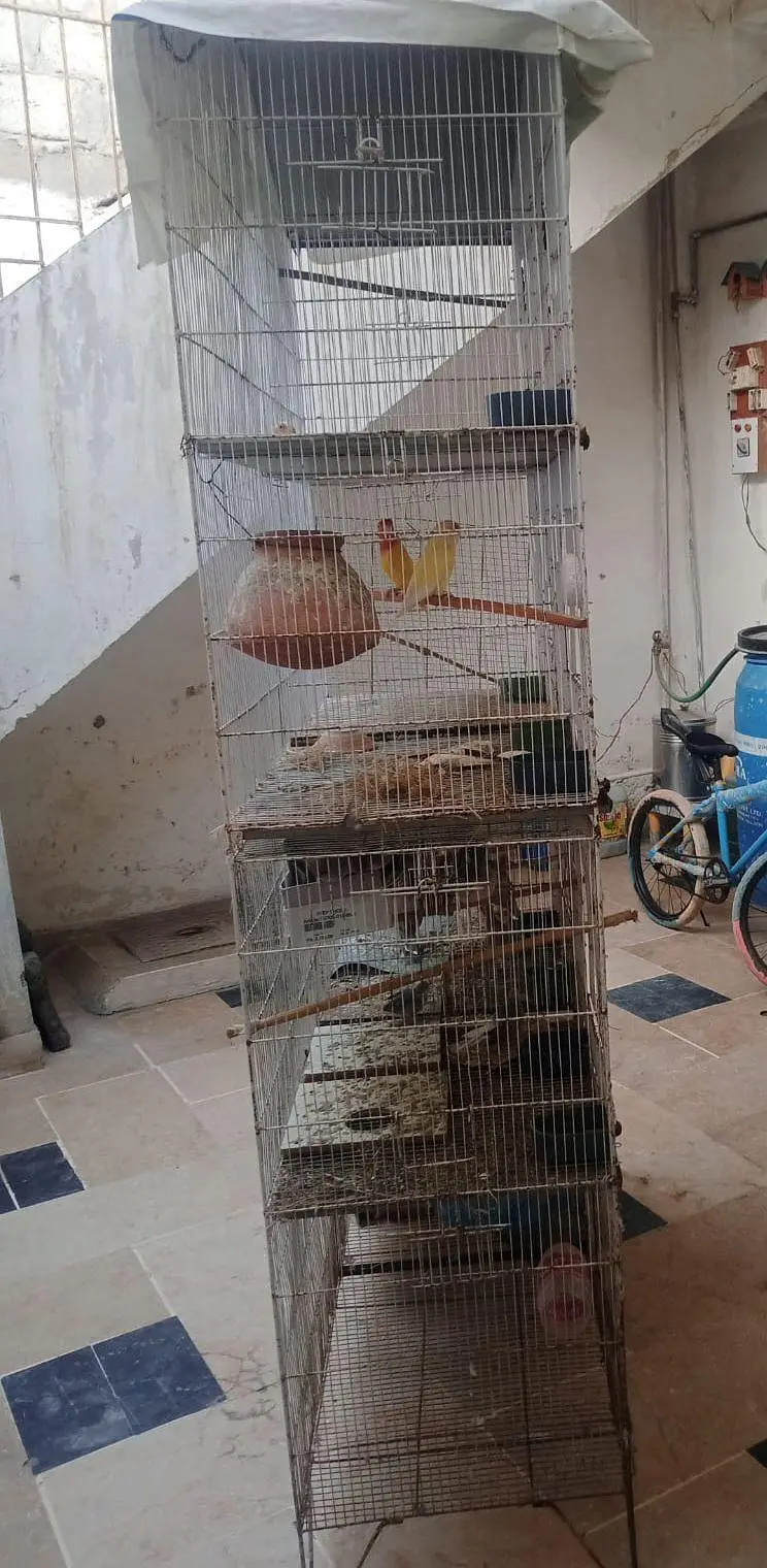 8 portion cage for sale — photo 7