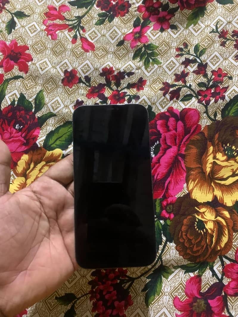 Apple iPhone 12 Pro Max 2