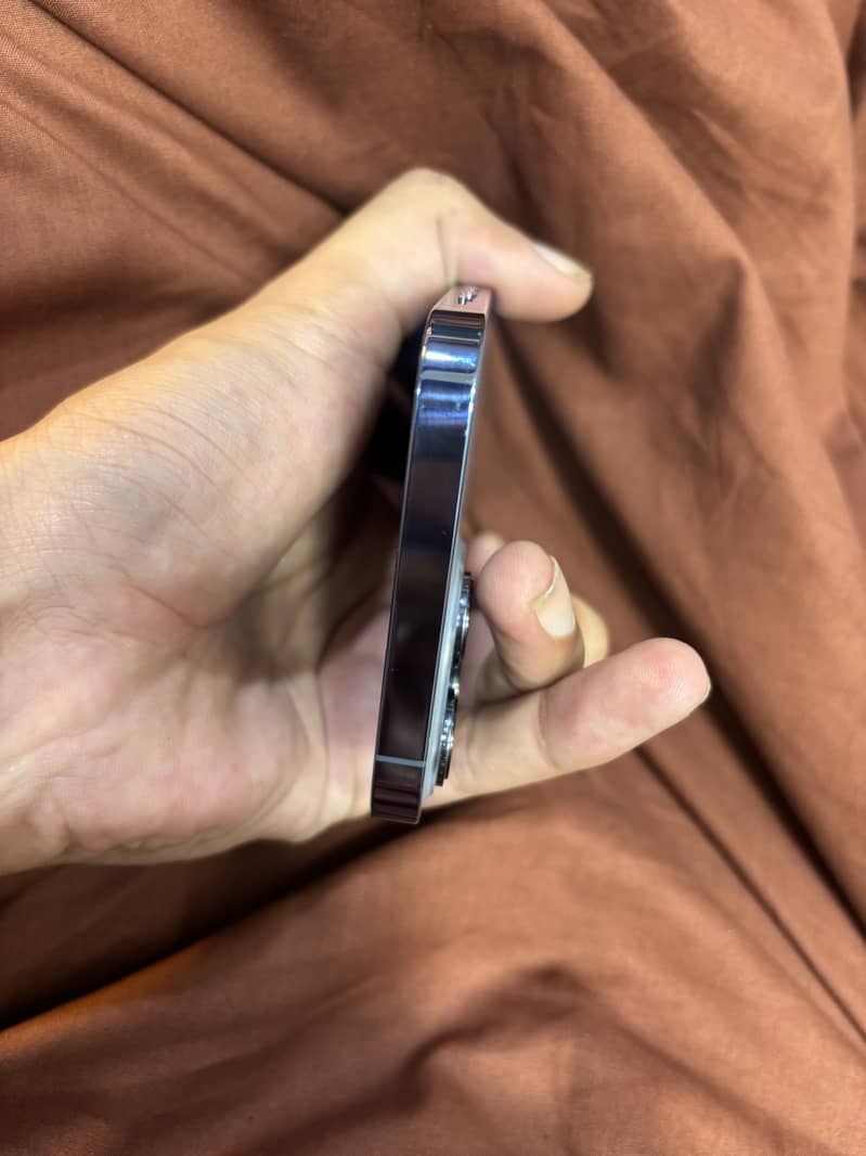 Apple iPhone 13 Pro Max 1