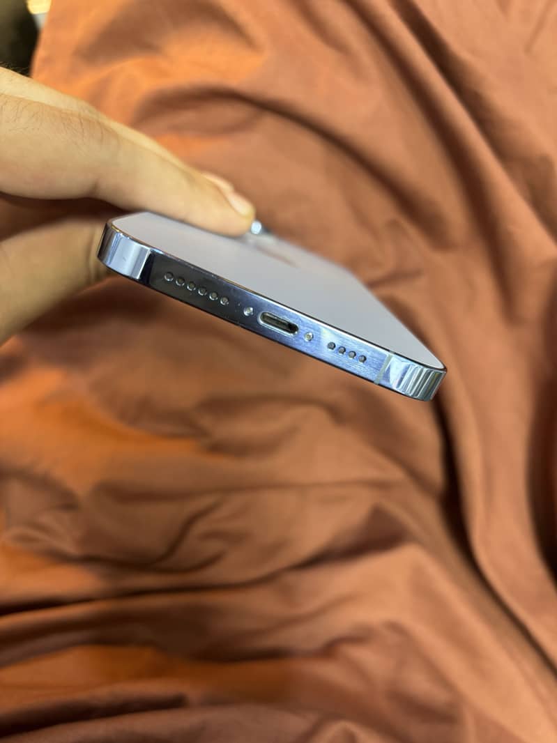 Apple iPhone 13 Pro Max 2