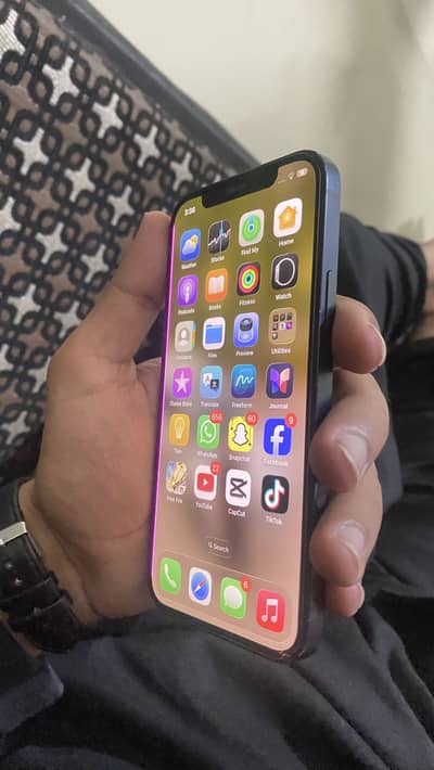 Apple iPhone 12