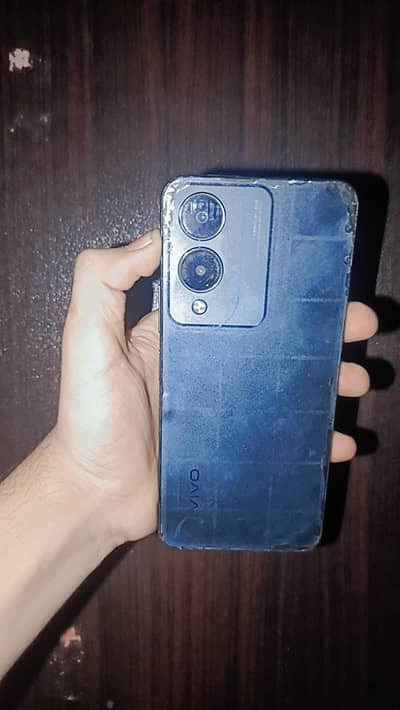Vivo Y17s