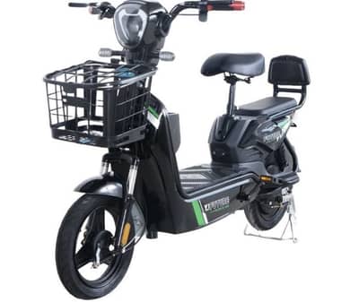 YJ FUTURE INDUS Electric Bike