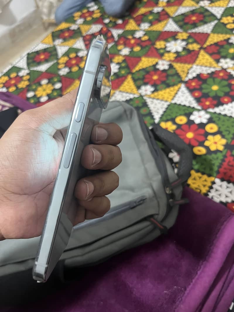 Google Pixel 9 Pro XL 1