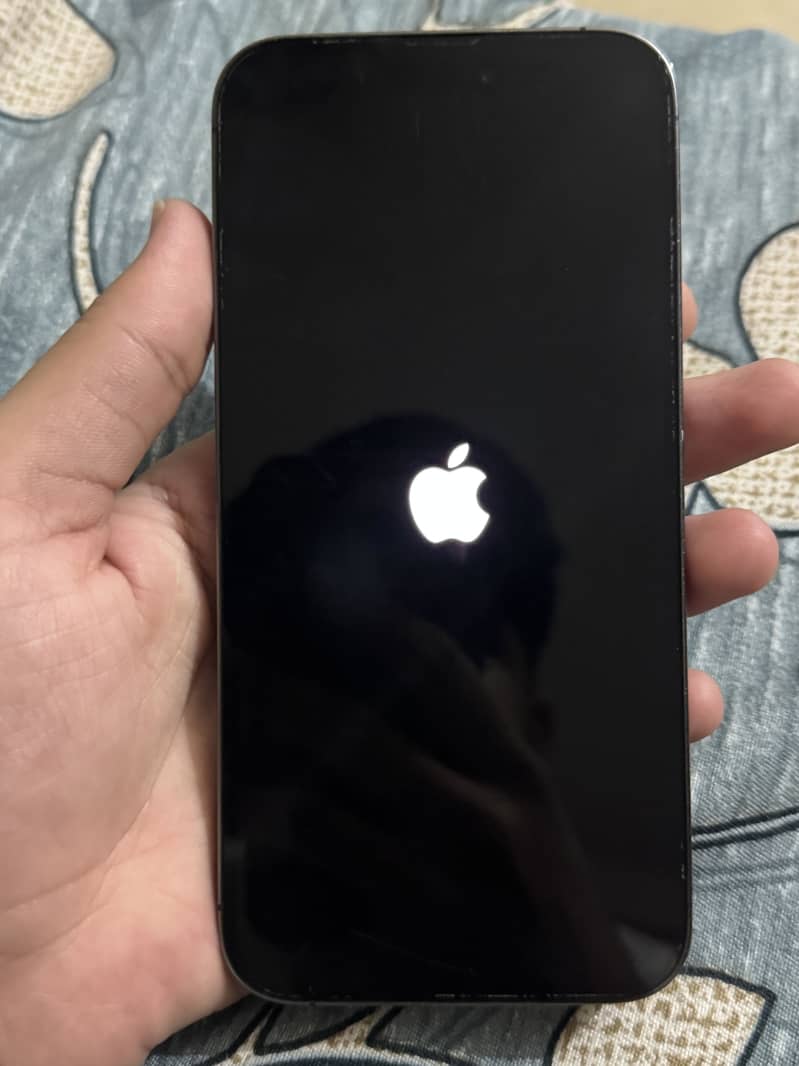Apple iPhone 14 Pro Max 1