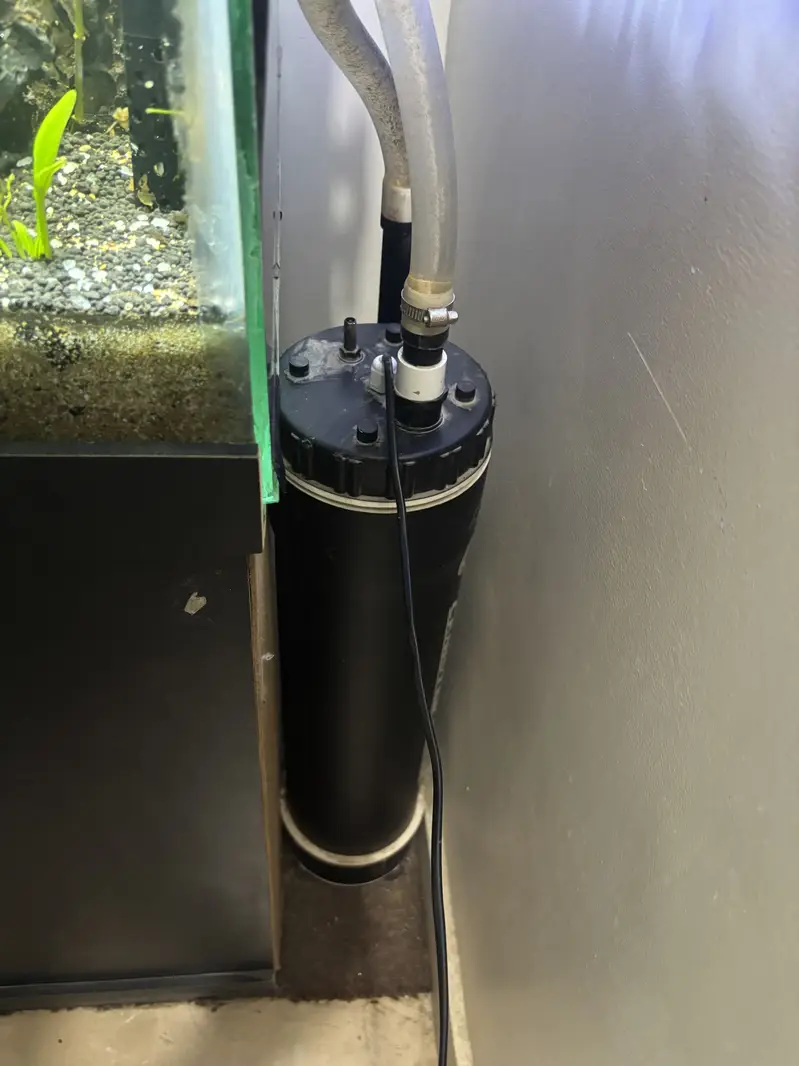 2ft Acquarium with canister filter - complete setup — photo 3