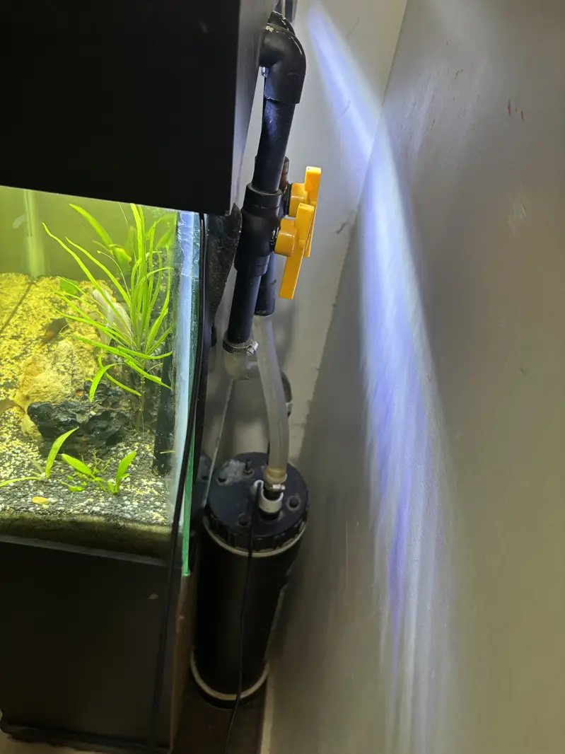 2ft Acquarium with canister filter - complete setup — photo 8