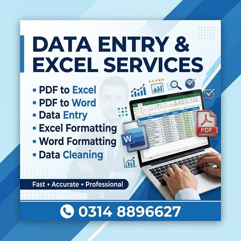 Professional Data Entry, PDF to Excel & Typing Services 0